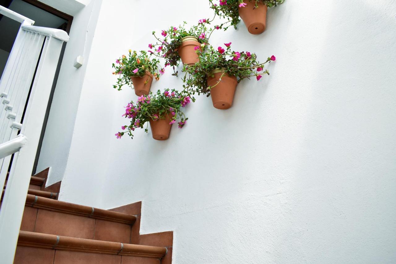 Casa Calma Ronda Estudio Appartement Buitenkant foto